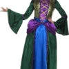 Hocus Pocus Inspired Winifred Bossy Salem Witch Costume | Hocus Pocus | Womens Costumes
