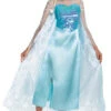 Frozen Elsa Deluxe Plus Size Costume | Frozen | Womens Costumes