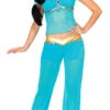 Arabian Beauty Princess Jasmine Aladdin Costume | Aladdin | Womens Costumes