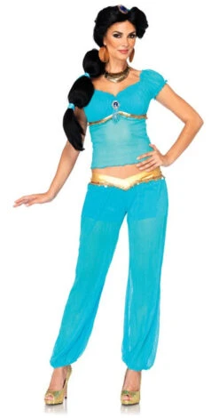 Arabian Beauty Princess Jasmine Aladdin Costume | Aladdin | Womens Costumes