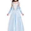 Royal Princess Cinderella Costume | Cinderella | Womens Costumes