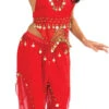 Red Belly Dancer Costume | Around The World | Womens Costumes