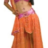 Bollywood Indian Dancer Costume | Around The World | Womens Costumes