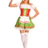 Oktoberfest Darling Costume | Oktoberfest | Womens Costumes