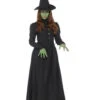 Storytime Evil Wicked Witch Costume | Wizard Of Oz | Womens Costumes