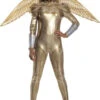 Wonder Woman Armoured Deluxe Costume | DC | Womens Costumes