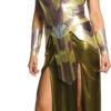 Wonder Woman Hippolyta Costume | DC | Womens Costumes