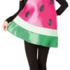 Fruity Watermelon Slice Costume | Food | Womens Costumes