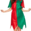 Miss Elf Christmas Dress Costume | Christmas | Womens Costumes | Consignment