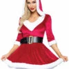 Mrs Claus Sexy Santa Dress Costume | Christmas | Womens Costumes