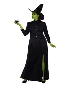 Classic Witch Plus Size Costume | Halloween | Womens Costumes