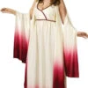Venus Goddess Of Love Plus Size Costume | Roman Mythology | Womens Costumes