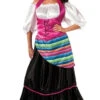 Senorita Plus Size Costume | Around The World | Womens Costumes