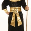 Egyptian Gold Pharaoh Costume | Ancient Egypt | Mens Costumes