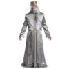 Dumbledore Harry Potter Deluxe Costume | Harry Potter | Mens Costumes