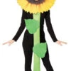 Sunflower Costume | Novelty | Mens Costumes
