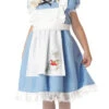 Lil Alice In Wonderland Toddler Costume | Alice In Wonderland | Childrens Costumes