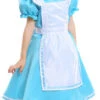 Alice In Wonderland Alice Dress | Alice In Wonderland | Childrens Costumes