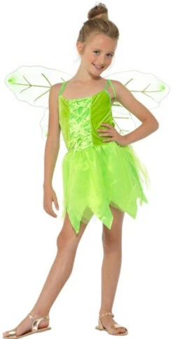 Woodland Fairy Peter Pan Tinker Bell Costume | Peter Pan | Childrens Costumes