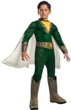 DC Shazam Pedro Dlx Costume | DC | Childrens Costumes