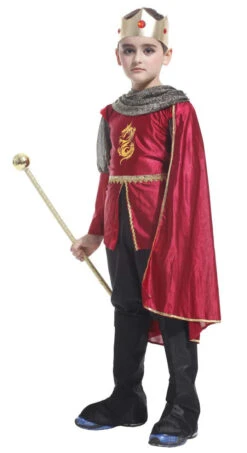 Knight King Kid Costume | Medieval | Childrens Costumes