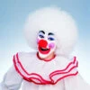 Deluxe Clown Afro Wig - White | Circus | Wigs And Hair Pieces