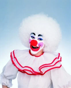 Deluxe Clown Afro Wig - White | Circus | Wigs And Hair Pieces