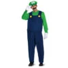 Super Mario Luigi Dlx Teen Costume | Super Mario Bros | Childrens Costumes