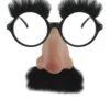 Groucho Marx Glasses | Novelty | Glasses And Sunglasses