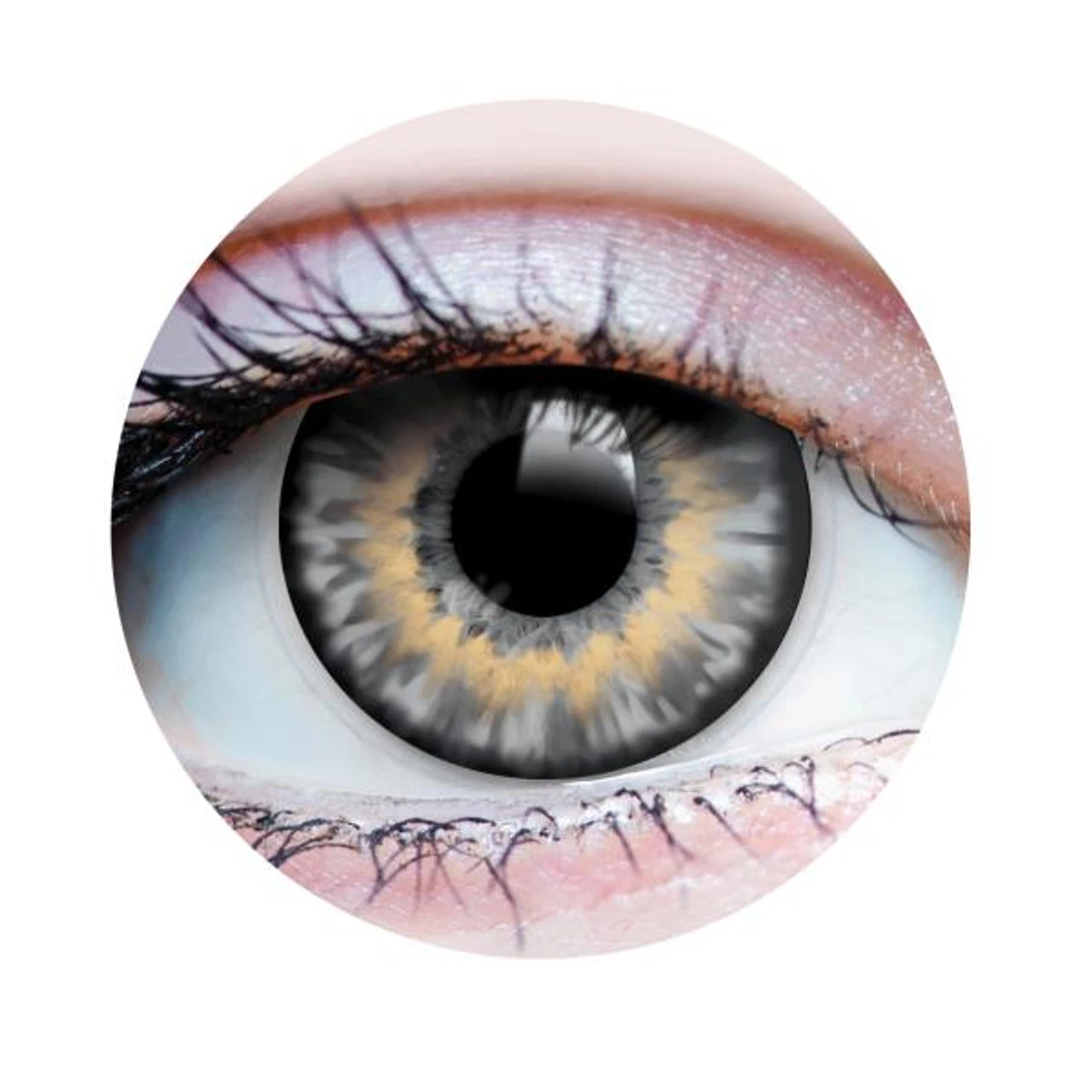 Sunrise Ash | Natural Colour | Primal Contact Lenses 1 Sunrise Ash | Natural Colour | Primal Contact Lenses