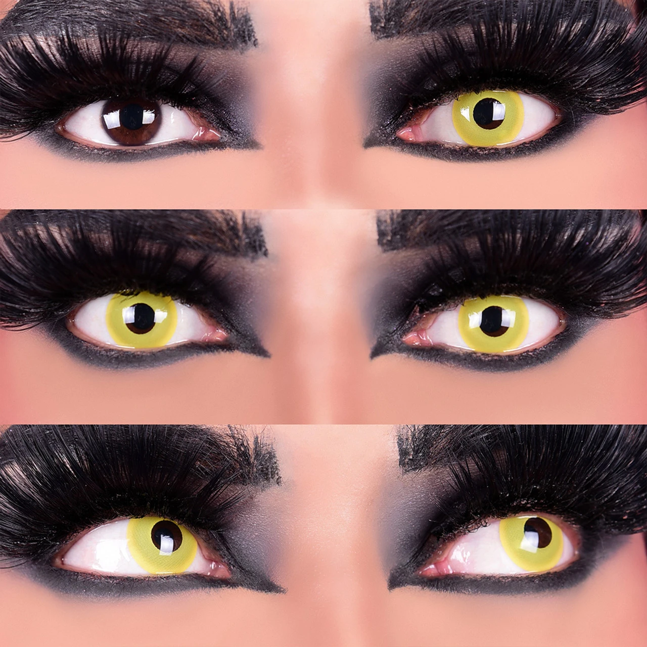 Raven | Costume Contacts | Primal Contact Lenses 2 Raven | Costume Contacts | Primal Contact Lenses - Image 2