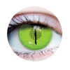 Jurassic III Lizard Eye | Costume Contacts | Primal Contact Lenses