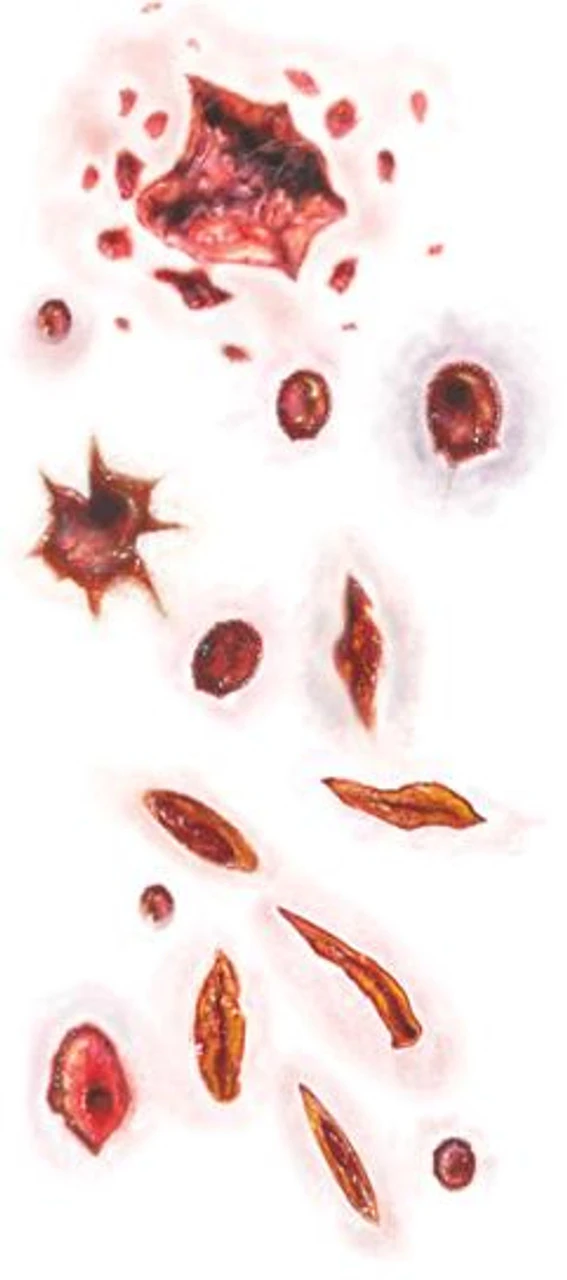 Shot & Stabbed Trauma Tattoo FX | Tinsley | Temporary Tattoos 1 Shot & Stabbed Trauma Tattoo FX | Tinsley | Temporary Tattoos