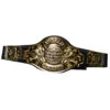 Championship Wrestling Boxing Belt | Jobs | Accessories