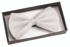 Satin Bowtie - White | Costume Accessories | Accessories