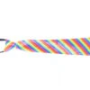 Rainbow Zipper Tie | Pride | Accessories
