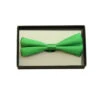 Satin Bowtie - Green | Costume Accessories | Accessories