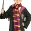 HP Gryffindr Scarf | Harry Potter | Accessories