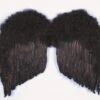 Feather Wings Black 24 Inch | Angels And Devils | Accessories
