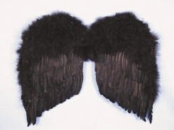 Feather Wings Black 24 Inch | Angels And Devils | Accessories