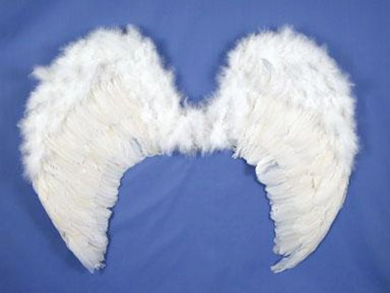 Feather Wings In White 31 Inch | Angels And Devils | Accessories 1 Feather Wings In White 31 Inch | Angels And Devils | Accessories