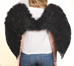 Feather Wings In Black 31 Inch | Angels And Devils | Accessories