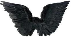 Black Feather Wings | Angels And Devils | Accessories
