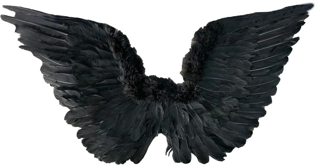 Black Feather Wings | Angels And Devils | Accessories 1 Black Feather Wings | Angels And Devils | Accessories