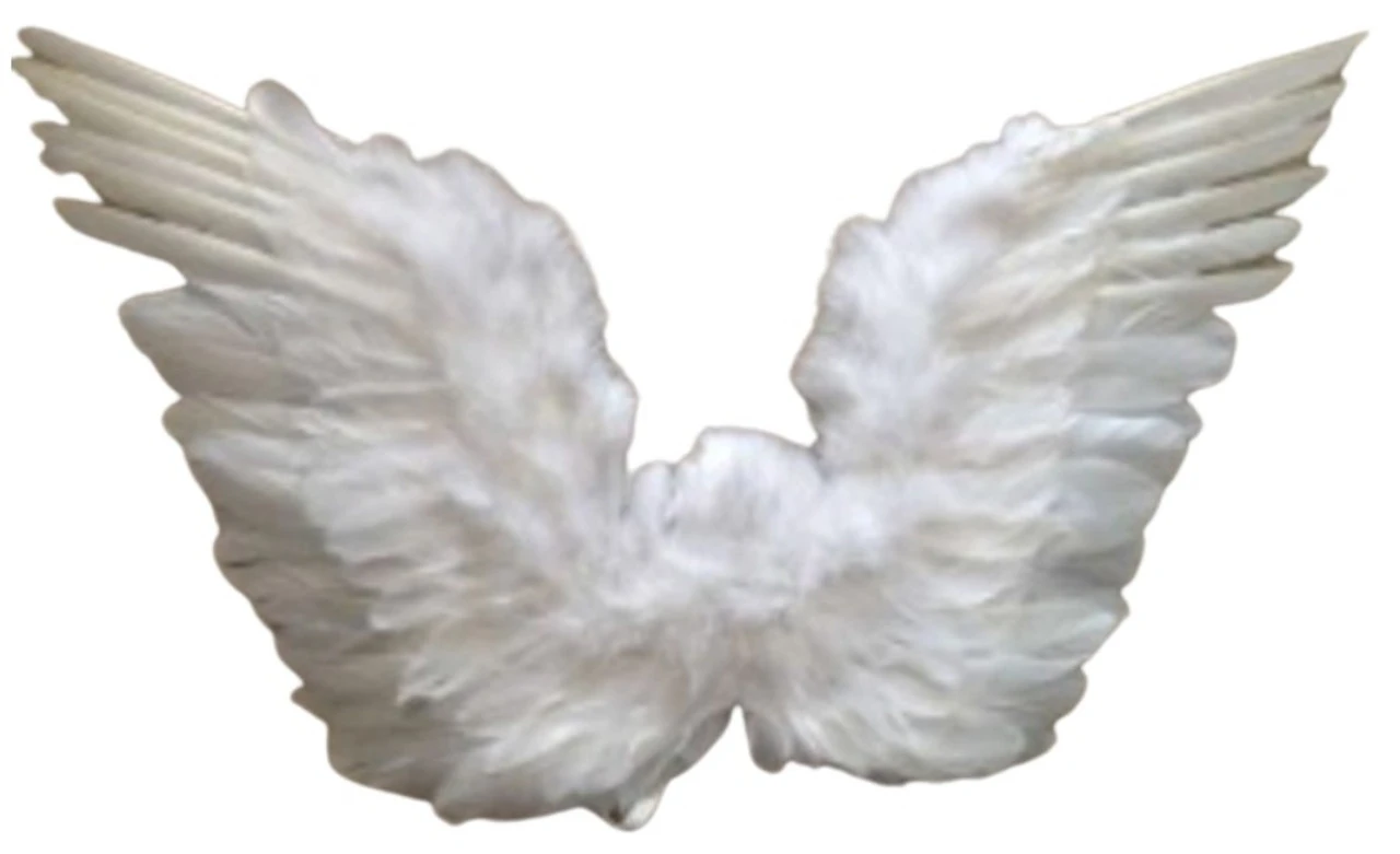 White Feather Wings | Angels And Devils | Accessories 1 White Feather Wings | Angels And Devils | Accessories