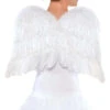 Feather Wings In White Or Black 22 Inch | Angels And Devils | Accessories