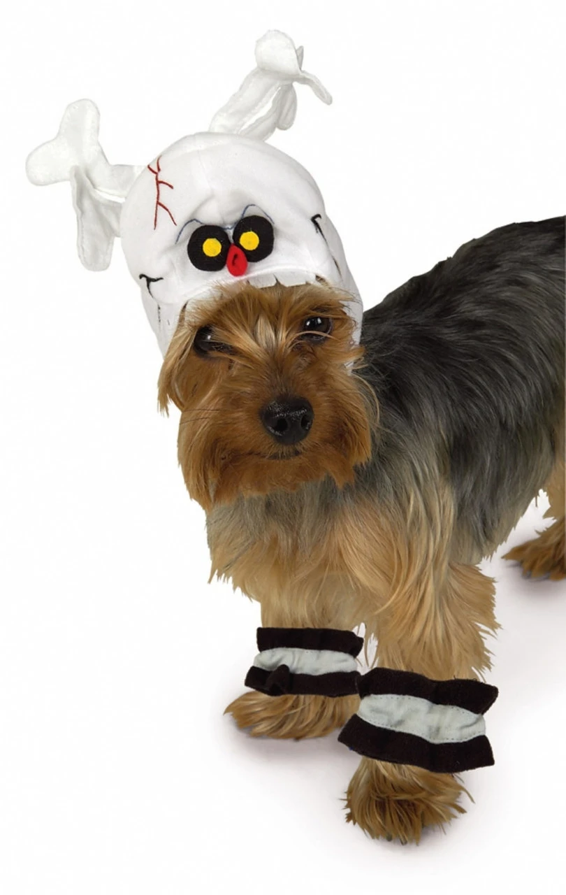 Dog's Scary Ghost Halloween Costume | Hallwoeen | Pet Costumes And Accessories 1 Dog's Scary Ghost Halloween Costume | Hallwoeen | Pet Costumes And Accessories