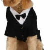 Dapper Dog Tux Pet Costume | Pet Costume | Pet Costumes And Accessories