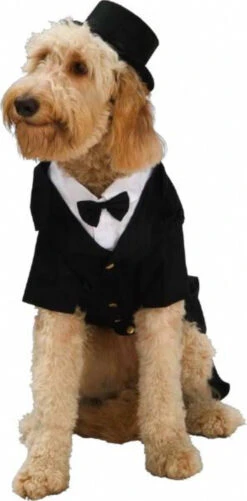 Dapper Dog Tux Pet Costume | Pet Costume | Pet Costumes And Accessories