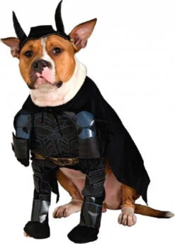 DC Batman Pet Costume | DC | Pet Costumes And Accessories